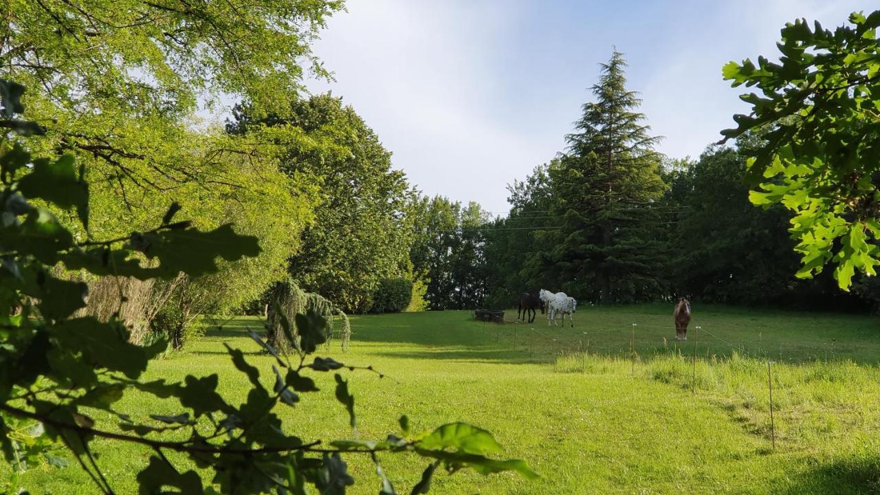 Hotel Domaine Du Cardou Puy-lʼÉvêque Esterno foto