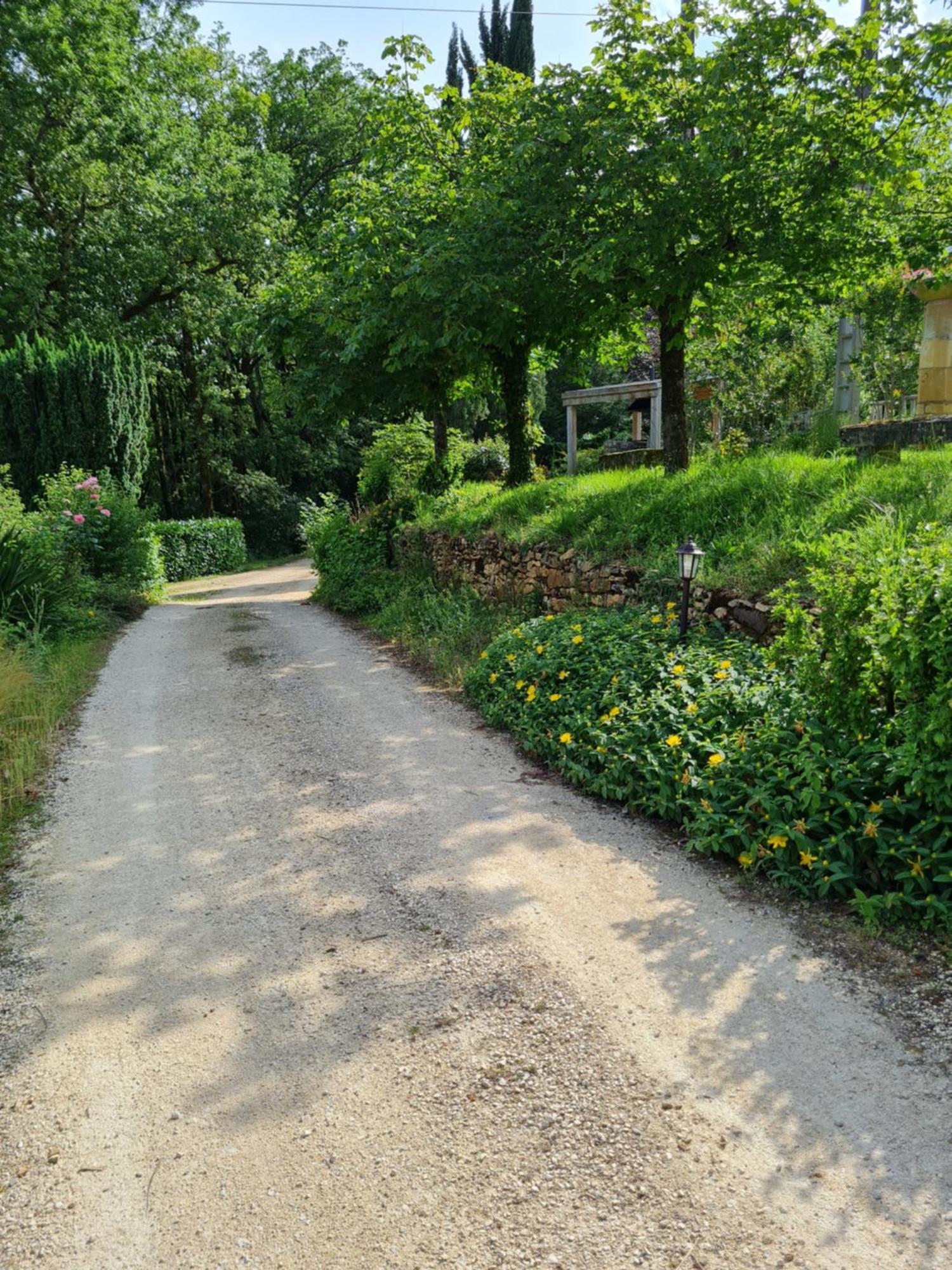 Hotel Domaine Du Cardou Puy-lʼÉvêque Esterno foto